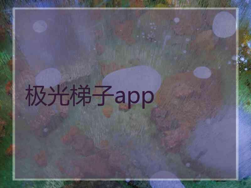 极光梯子app