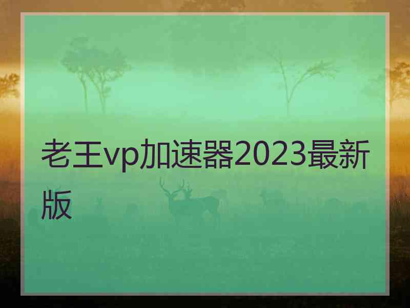 老王vp加速器2023最新版