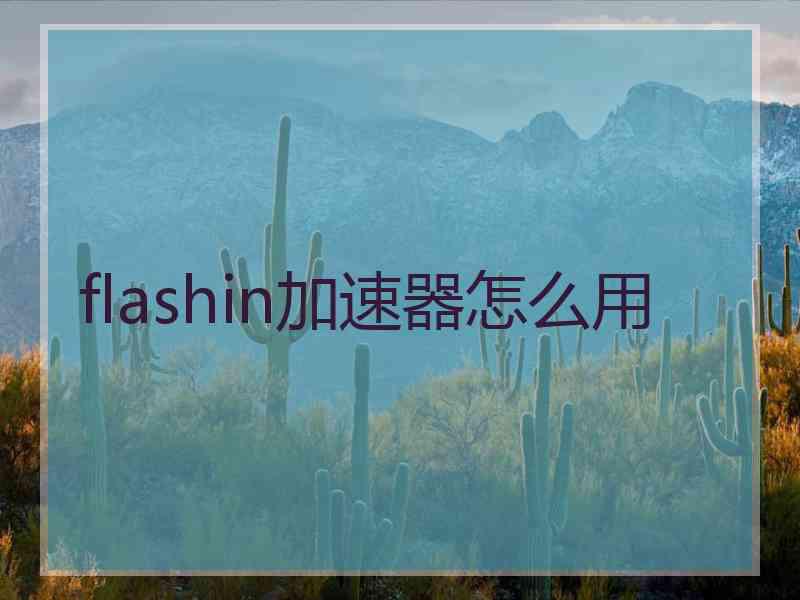 flashin加速器怎么用