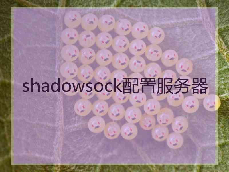 shadowsock配置服务器