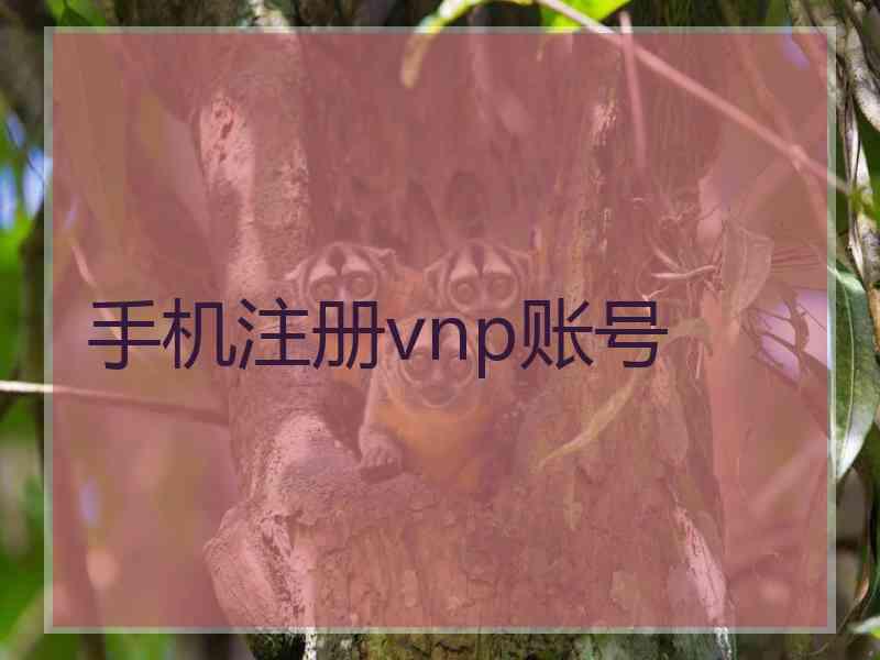 手机注册vnp账号