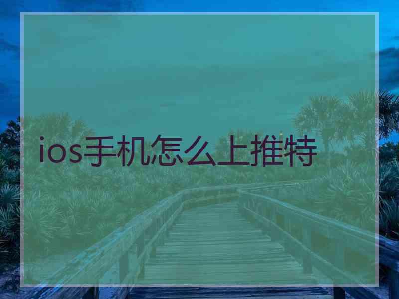 ios手机怎么上推特