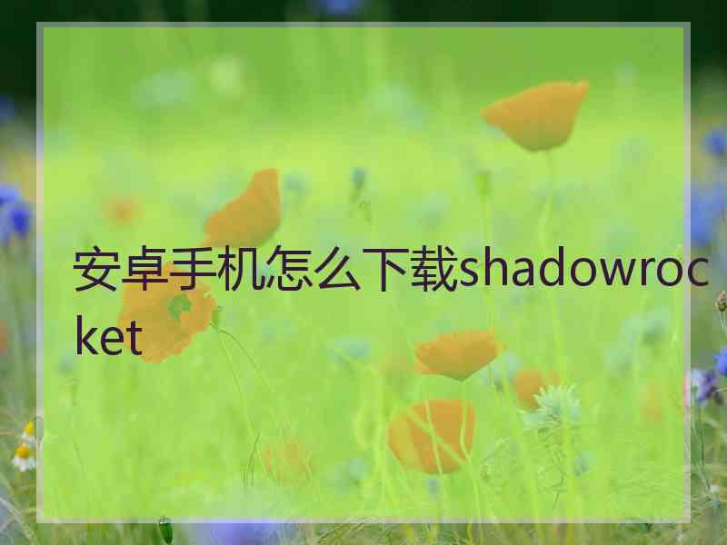 安卓手机怎么下载shadowrocket