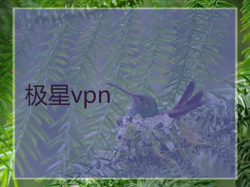 极星vpn