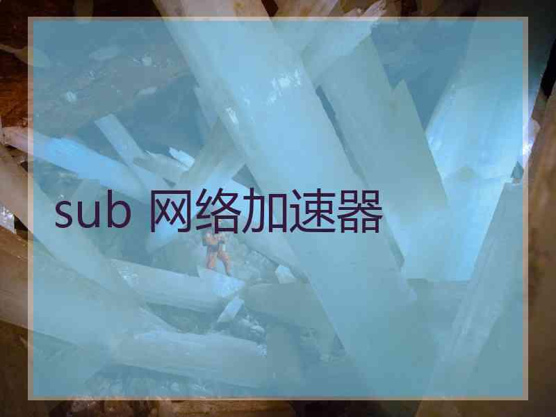 sub 网络加速器